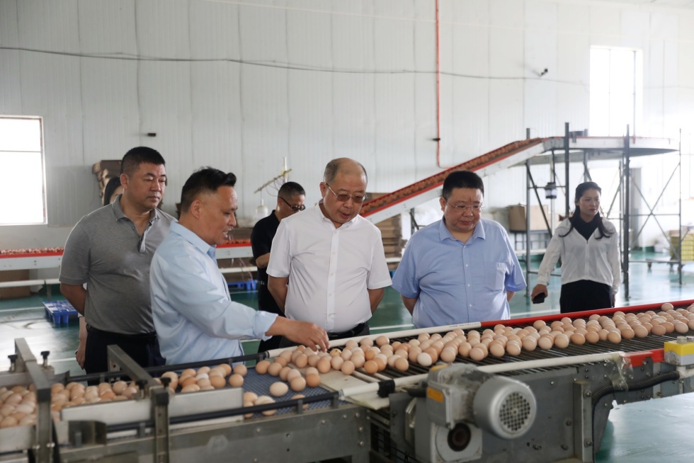 20250528357896.jpg d43462336c46c73aaf6acec86c952d38_2.jpg