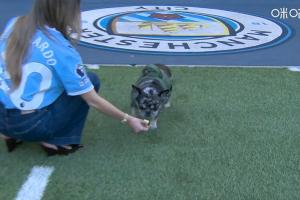 節目效果拉滿！斯通斯告別儀式 B席的愛犬“約翰·斯通斯”先入場