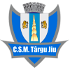 ACS特爾古日烏首發陣容
