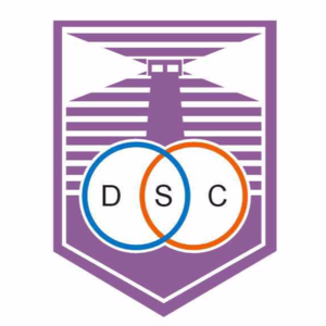 德芬索后備隊(duì)首發(fā)陣容