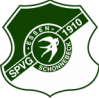 SV索尼克斯首發陣容