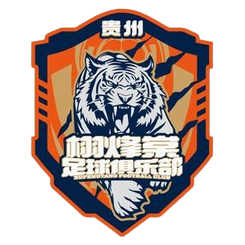 貴州栩烽棠首發陣容