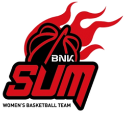 BNK釜山薩姆女籃首發(fā)陣容